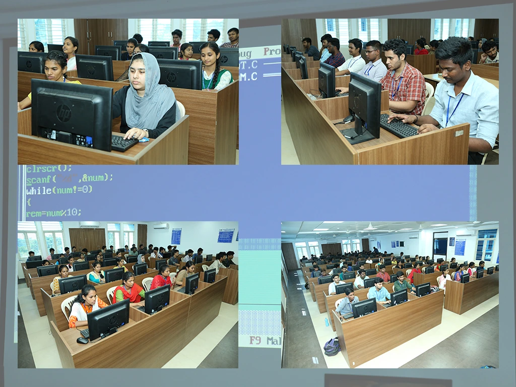 Study Areas